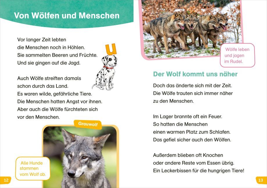 Meierjürgen, Sonja: WAS IST WAS Erstes Lesen easy! Hunde - meine Lieblingstiere
