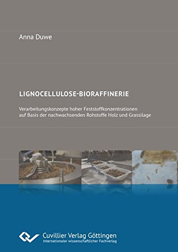 Lignocellulose-Bioraffinerie: Verarbeitungskonzepte hoher Feststoffkonzentrationen auf Basis der nachwachsenden Rohstoffe Holz und Grassilage