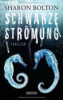 Schwarze Strömung - Lacey Flint 4: Thriller