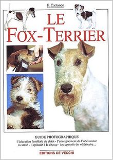 Le fox-terrier