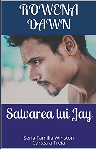 Salvarea lui Jay (Familia Winston, Band 3)