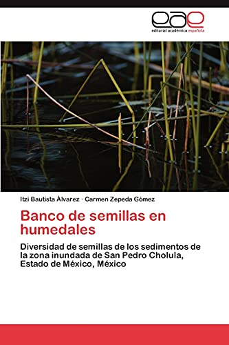 Banco de semillas en humedales: Diversidad de semillas de los sedimentos de la zona inundada de San Pedro Cholula, Estado de México, México