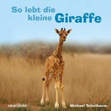 So lebt die kleine Giraffe