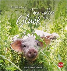 Ich wünsch' dir … Tage voller Glück Postkartenkalender 2022 - Kalender mit perforierten Postkarten - zum Aufstellen und Aufhängen - mit Monatskalendarium - 16 x 17 cm