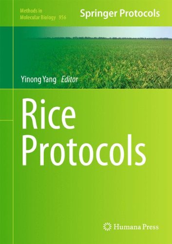 Rice Protocols (Methods in Molecular Biology)