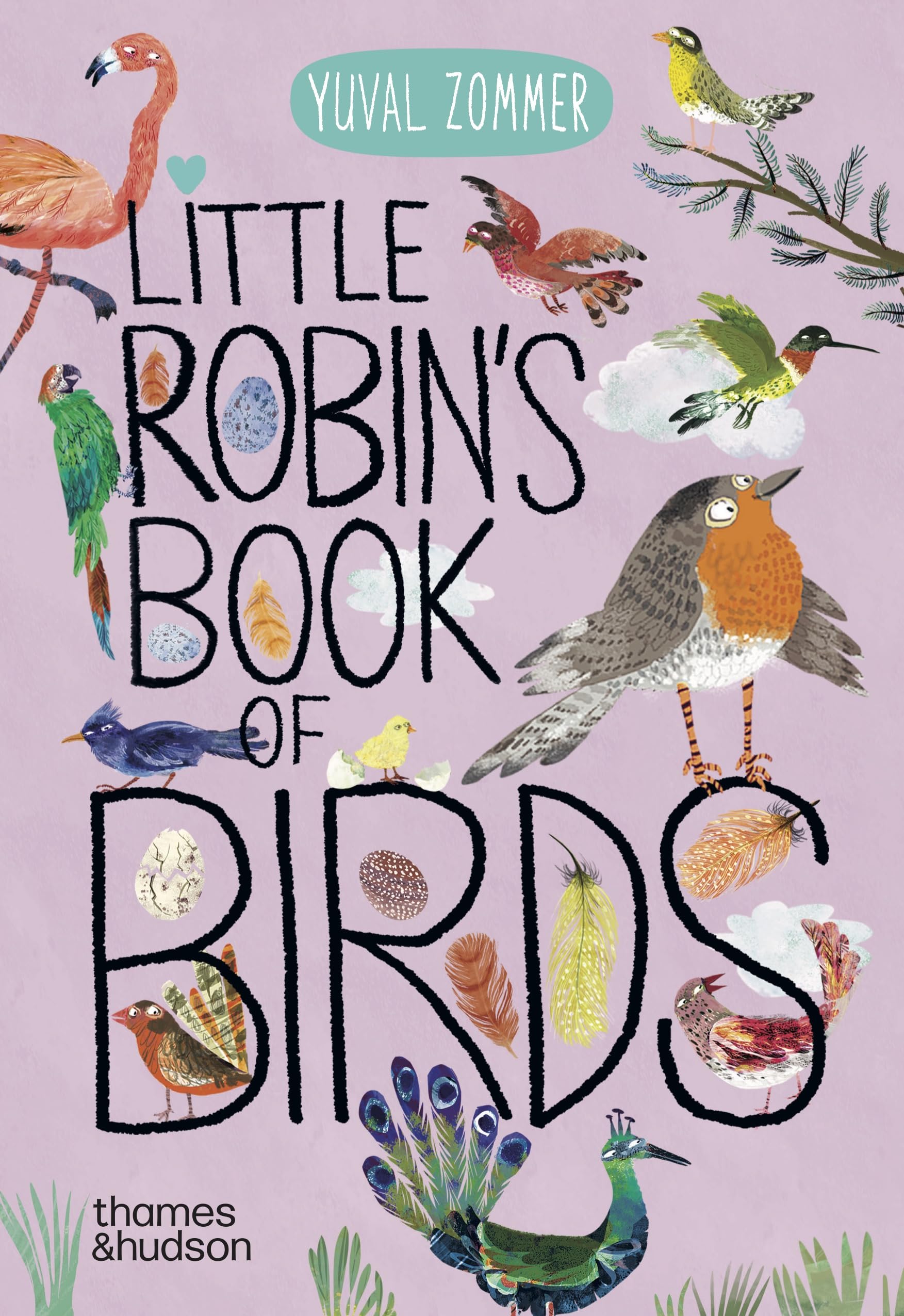 Yuval Zommer Little Robin´s Book Of Birds