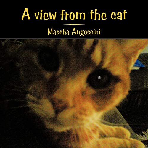 A View from the Cat