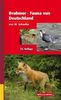 Fauna von Deutschland: Ein Bestimmungsbuch unserer heimischen Tierwelt