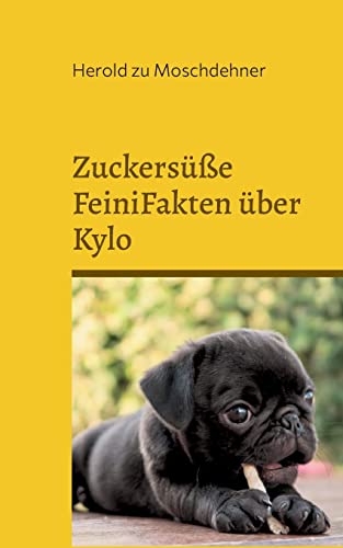 Zuckersüße FeiniFakten über Kylo: DE