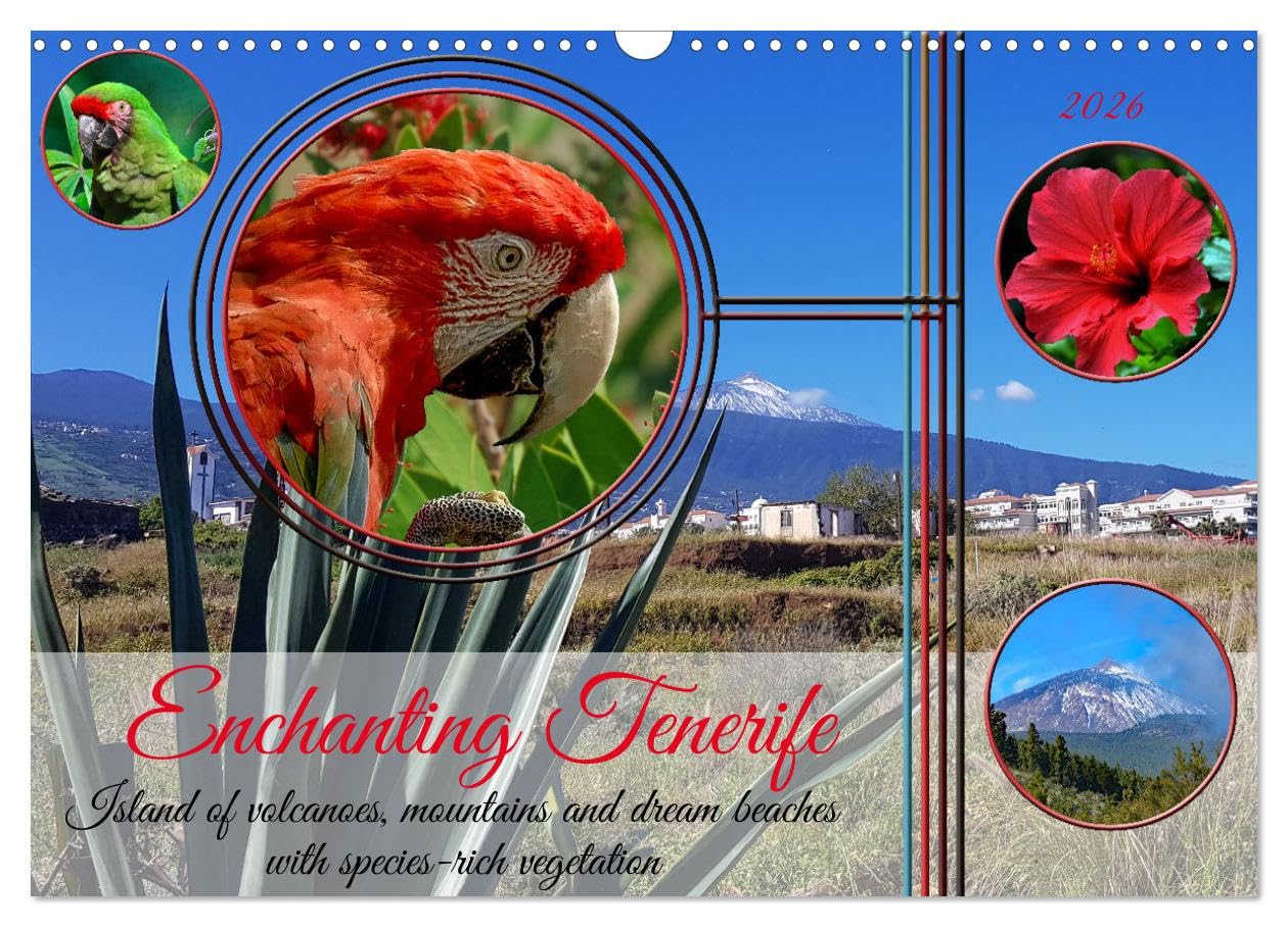 Enchanting Tenerife (Wall Calendar 2026 DIN A3 landscape), CALVENDO 12 Month Wall Calendar: Island of volcanoes, mountains and dream beaches with species-rich vegetation in the Atlantic