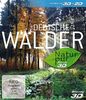Deutsche Wälder 3D - Natur pur [3D Blu-ray]