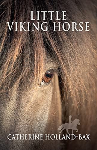 Catherine Holland-Bax Little Viking Horse