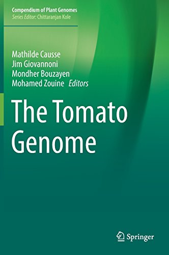 The Tomato Genome (Compendium of Plant Genomes)