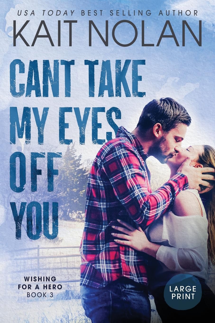 Can't Take My Eyes Off You (Wishing for a Hero, Band 3)