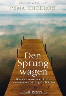 Den Sprung wagen: Wie wir uns von destruktiven Gewohnheiten und Ängsten befreien