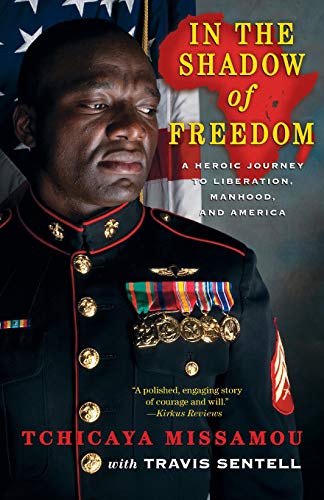 In the Shadow of Freedom: A Heroic Journey to Liberation, Manhood, and America