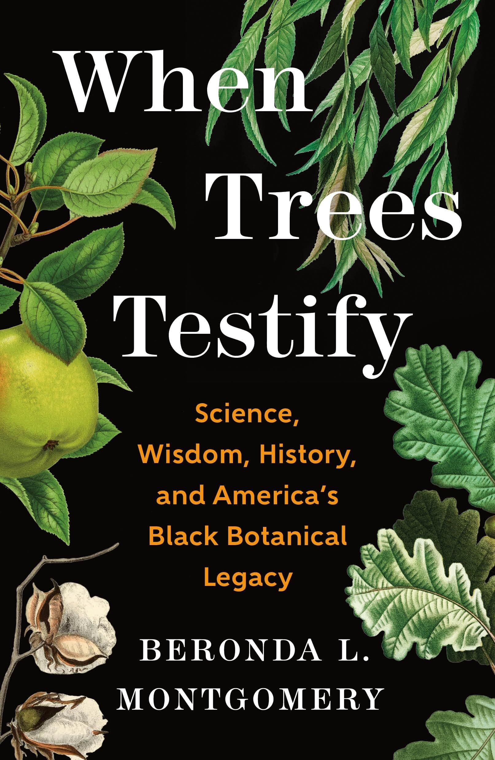 When Trees Testify - Neuware