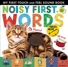 Walden, L: Noisy First Words: My First Touch and Feel Sound Book (My First Touch & Feel Sound Bk)