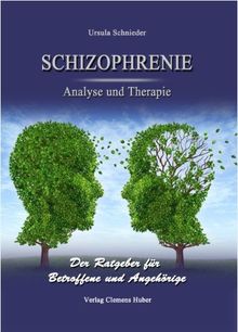 Schizophrenie-Analyse und Therapie: Ein laienverständlicher Ratgeber für Betroffene und Angehörige