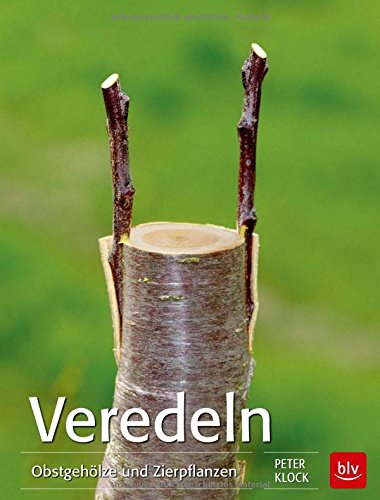 Veredeln Obstgehölze und Zierpflanzen von Peter Klock