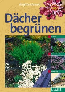 Dächer begrünen: Planung, Einkaufsberater, Anleitung