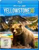 Yellowstone 3D - Amerikas grösstes Naturwunder [3D Blu-ray]