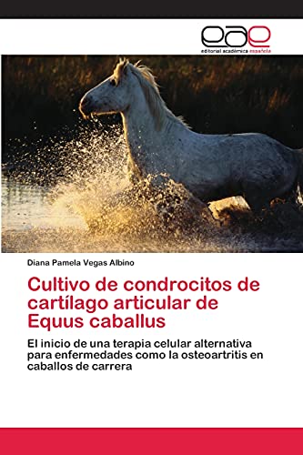 Cultivo de condrocitos de cartílago articular de Equus caballus: El inicio de una terapia celular alternativa para enfermedades como la osteoartritis en caballos de carrera