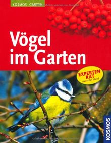 Vögel im Garten