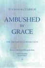 Ambushed by Grace: The Virtues of a Useless Faith (Princeton Theological Monograph Series)