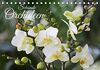 Schönste Orchideen (Tischkalender 2024 DIN A5 quer): Fantastische Orchideenblüten, gelungen in Szene gesetzt (Monatskalender, 14 Seiten ) (CALVENDO Natur)