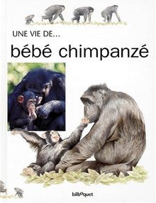 Bebe Chimpanze Von Honor Head