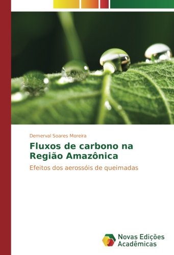 Fluxos de carbono na Região Amazônica: Efeitos dos aerossóis de queimadas
