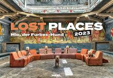 Lost Places 2023: Mio, der Furbex-Hund