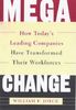 MEGACHANGE: How Today's Leading Companies Have Transformed Their Workforces: How Major Companies Transform Their Workforce