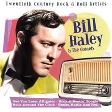 Twentieth Century Rock & Roll Artists