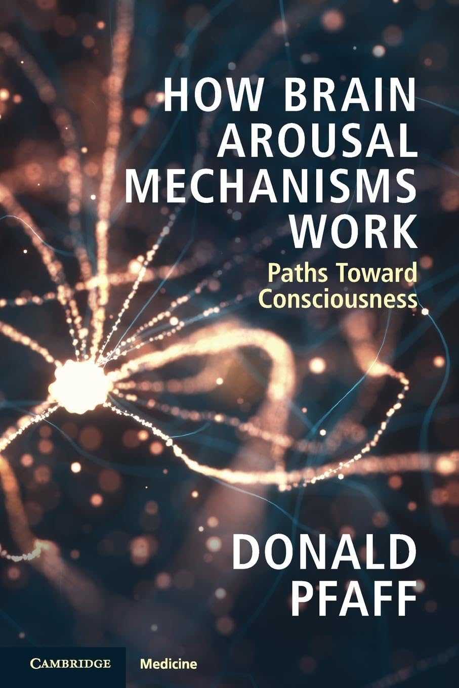 How Brain Arousal Mechanisms Work: Volume 1: Paths Toward Consciousness