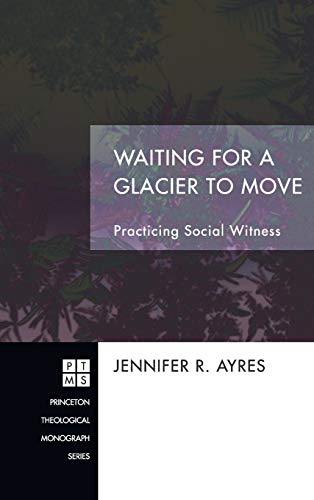 Waiting for a Glacier to Move: Practicing Social Witness (Princeton Theological Monograph, Band 170)