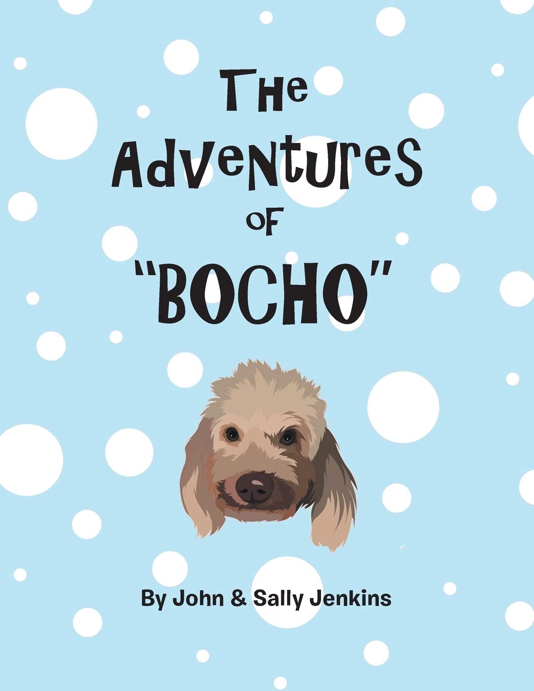 The Adventures of Bocho