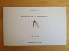 Balafre A La Levre Du Vent von Jackie Pletevoet | Buch | Zustand sehr gut