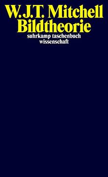 Bildtheorie (suhrkamp taschenbuch wissenschaft)