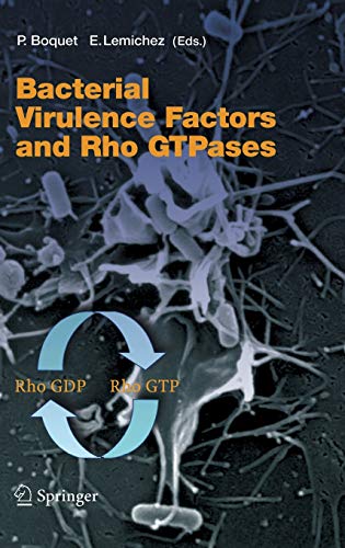 Bacterial Virulence Factors and Rho GTPases (Current Topics in Microbiology and Immunology, 291, Band 291)