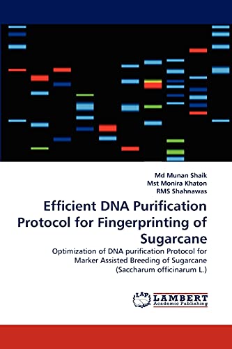 Efficient DNA Purification Protocol for Fingerprinting of Sugarcane: Optimization of DNA purification Protocol for Marker Assisted Breeding of Sugarcane (Saccharum officinarum L.)