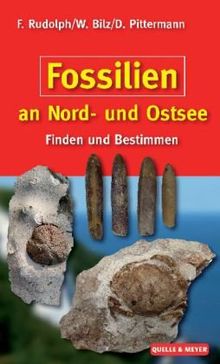 Fossilien an Nord- und Ostsee: Finden und Bestimmen