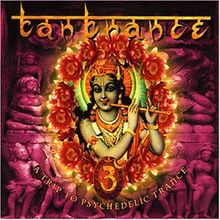 Tantrance 3-a Trip to Psychede von Various | CD | Zustand gut