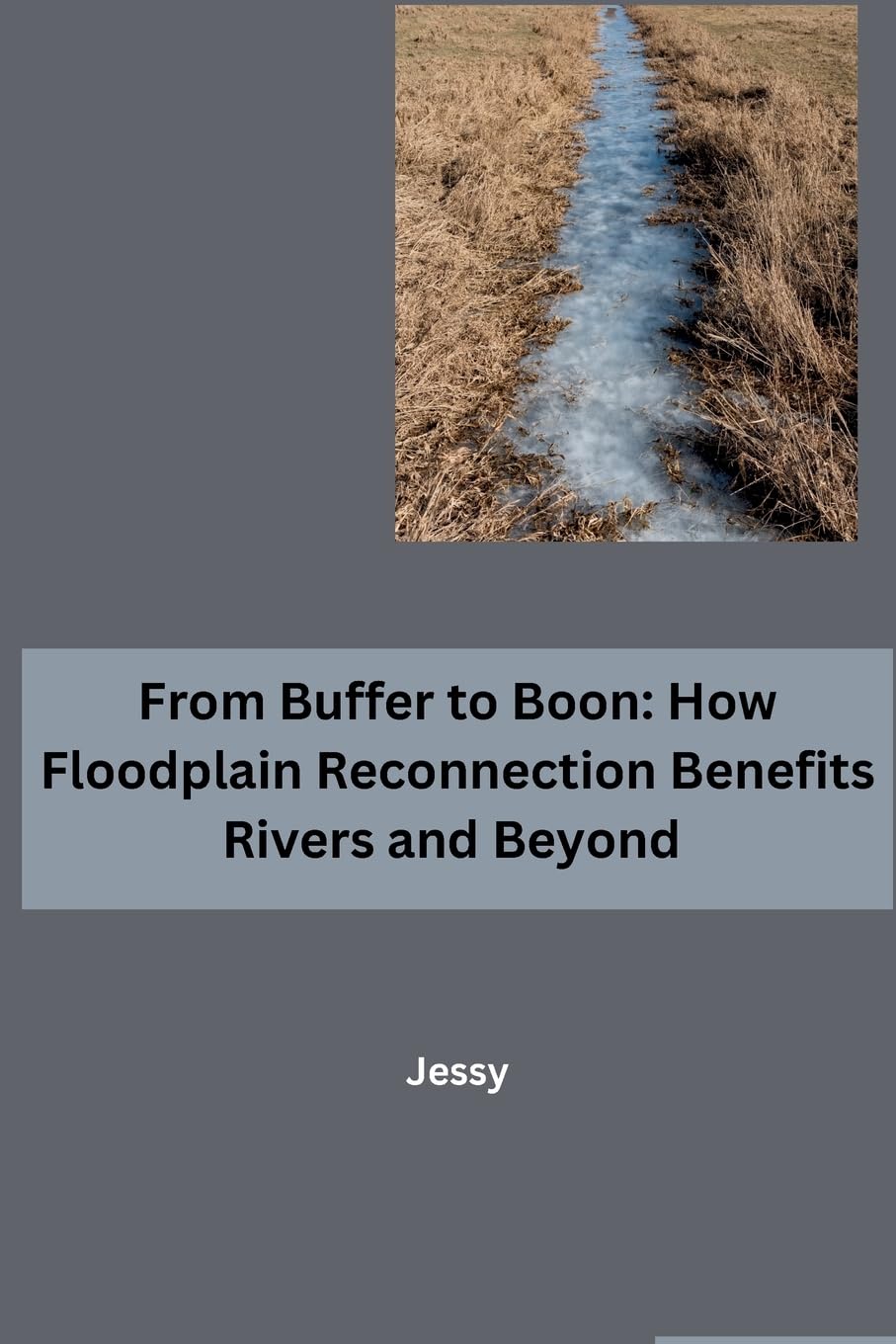 From Buffer to Boon: How Floodplain Reconnection Benefits Rivers and Beyond: DE