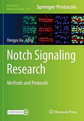 Notch Signaling Research: Methods and Protocols (Methods in Molecular Biology, 2472, Band 2472)