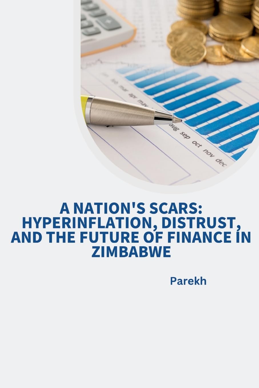 A Nation's Scars: Hyperinflation, Distrust, and the Future of Finance in Zimbabwe: DE