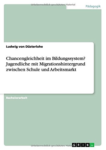 Chancengleichheit im Bildungssystem? Jugendliche mit Migrationshintergrund zwischen Schule und Arbeitsmarkt