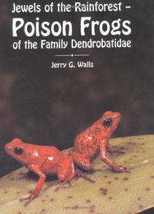 Poison Frogs of the Family Dendrobatidae: Jewels of the Rainforest