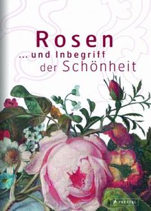 Rosen. ...und Inbegriff der Schönheit